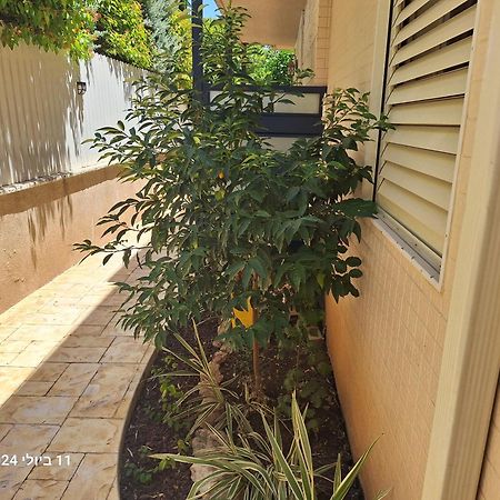 Hotel הבית הירוק Karmiel Exteriér fotografie