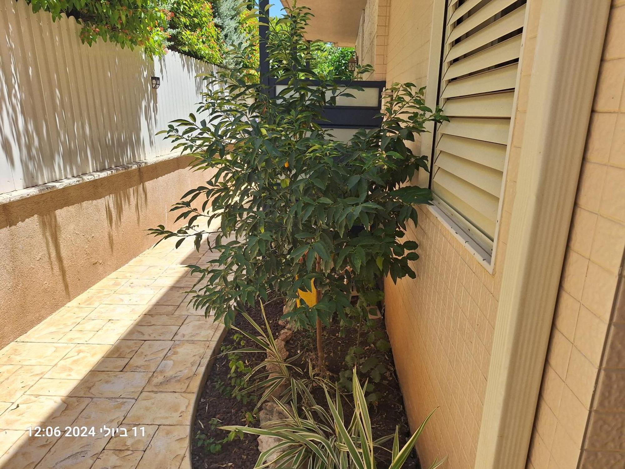 Hotel הבית הירוק Karmiel Exteriér fotografie